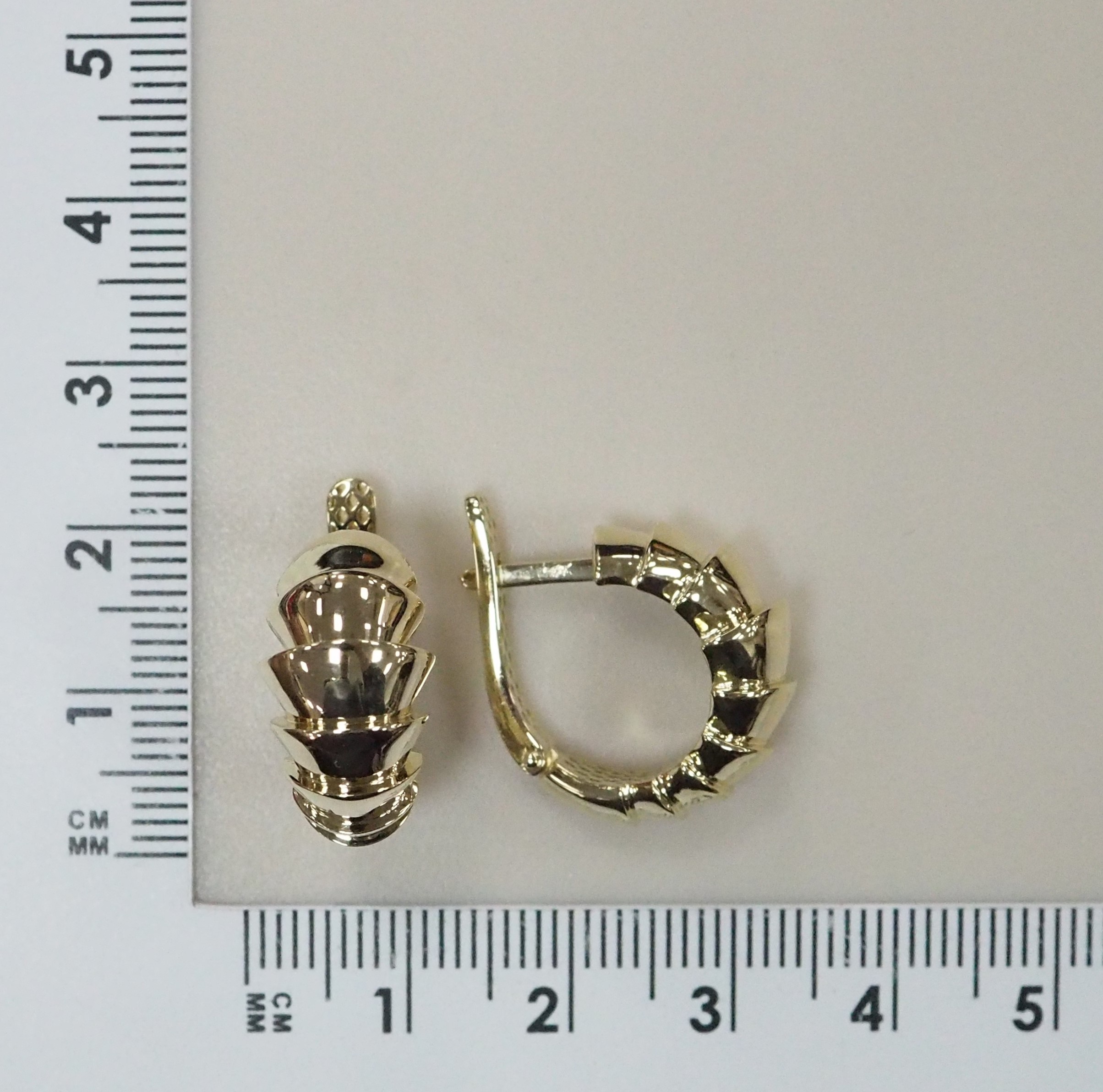 10519-000693 Серьги (Au 585)